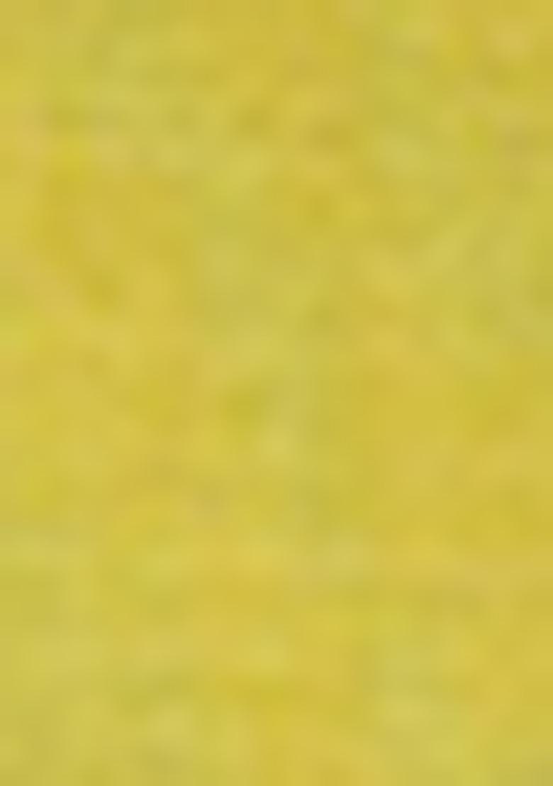 Green Embroidered Cotton Kurta Set