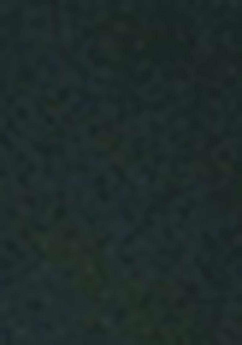 Green Embroidered Cotton Kurta Set