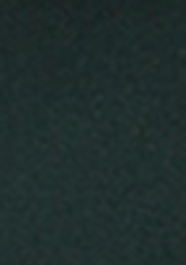 Green Embroidered Cotton Kurta Set