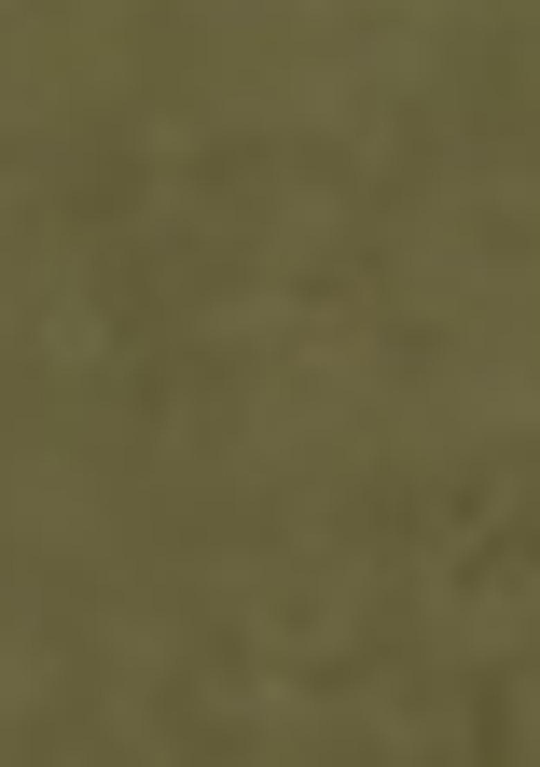 Green Embroidered Chanderi Kurta Set