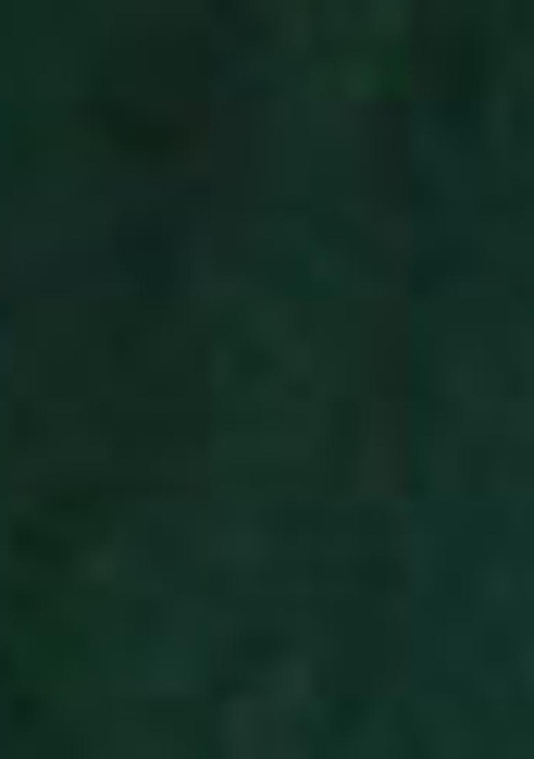 Green Abstract Print Silk Kurta Set