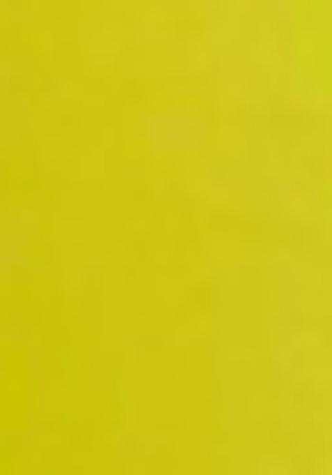 Lemon Embroidered Rayon Kurta Set