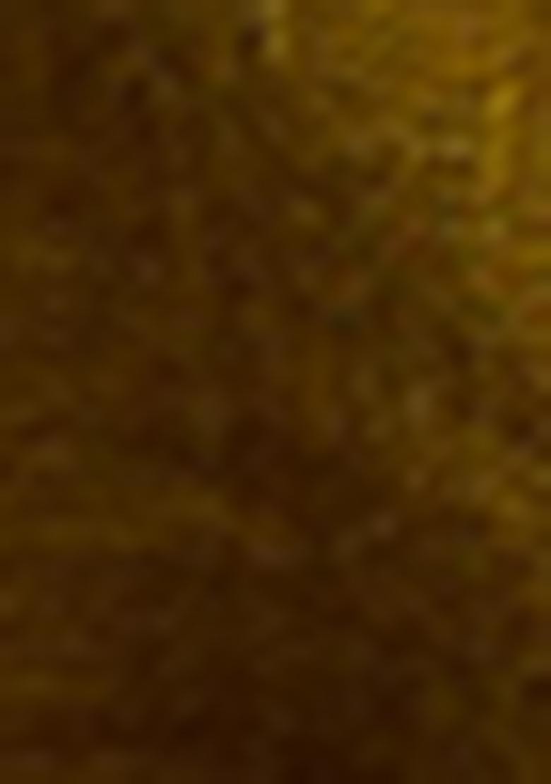 Mustard Yellow Embroidered Silk Kurta Set