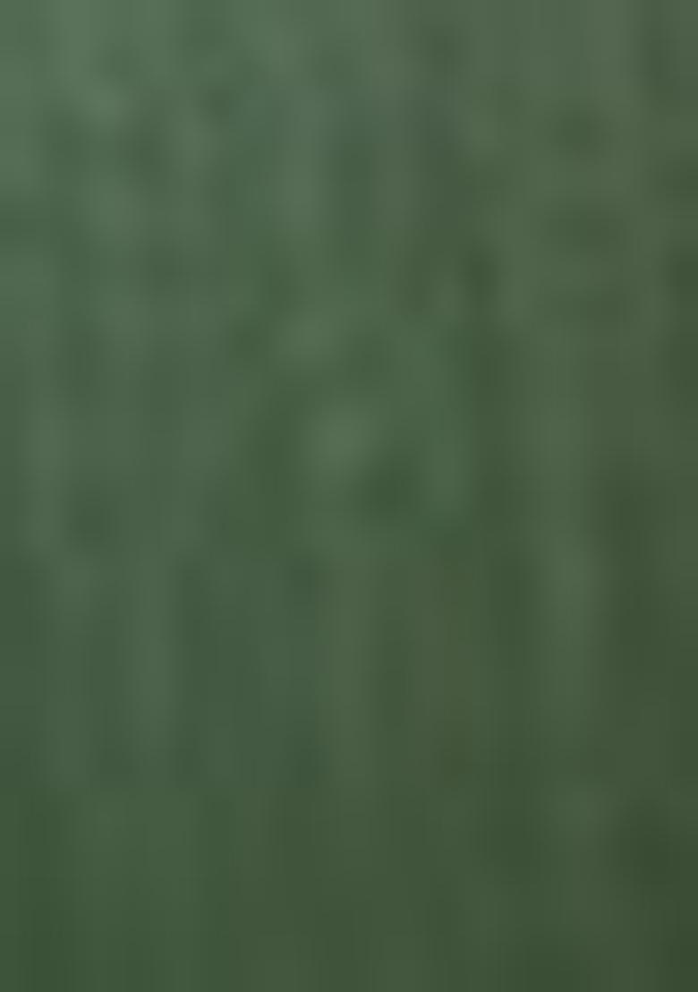 Green Embroidered Rayon Kurta Set