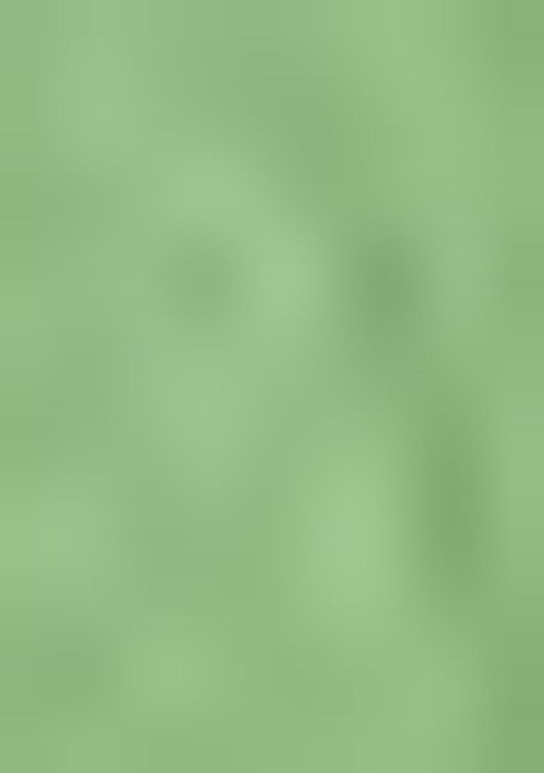 Pista Green Printed Rayon Kurta Set