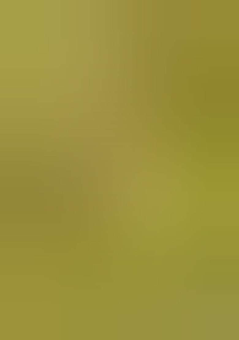 Lemon Green Embroidered Cotton Kurta Set