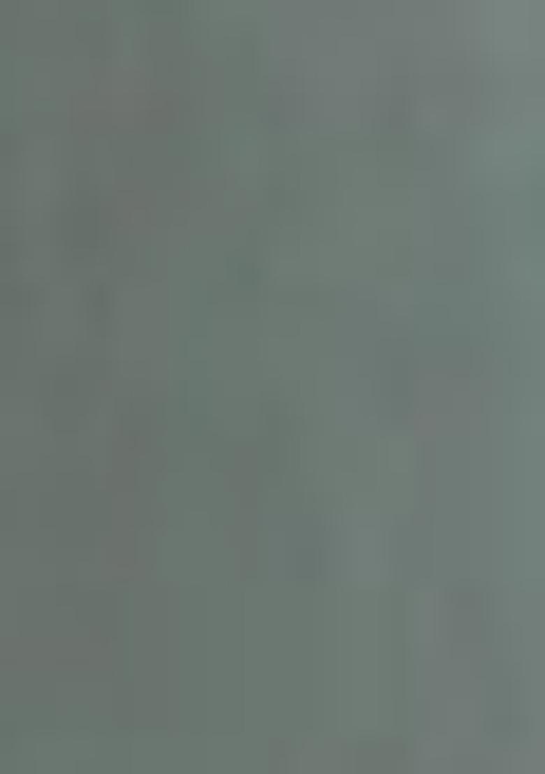 Pista Green Embroidered Viscose Kurta Set