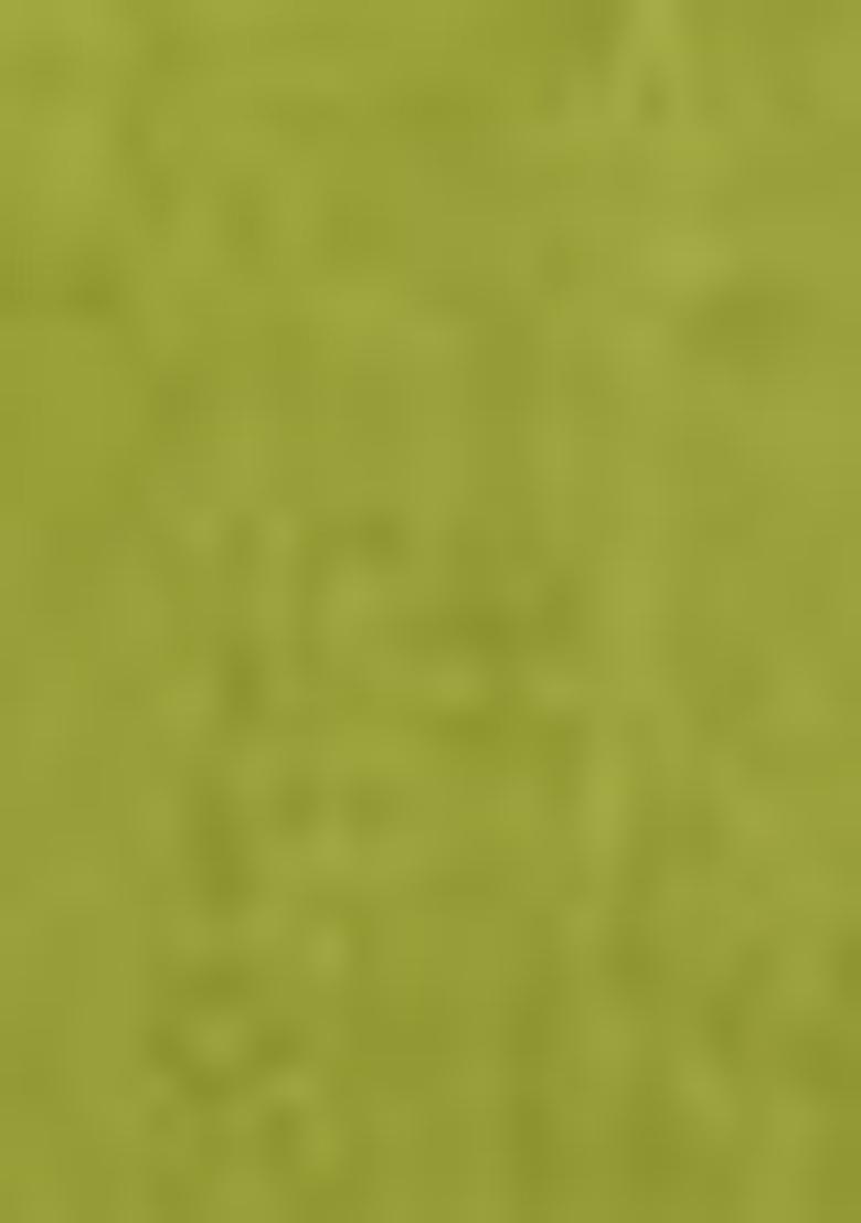 Green Embroidered Chinon Kurta Set