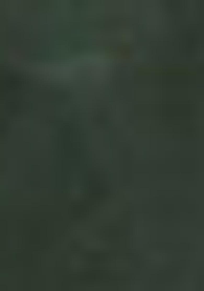 Green Embroidered Chanderi Kurta Set