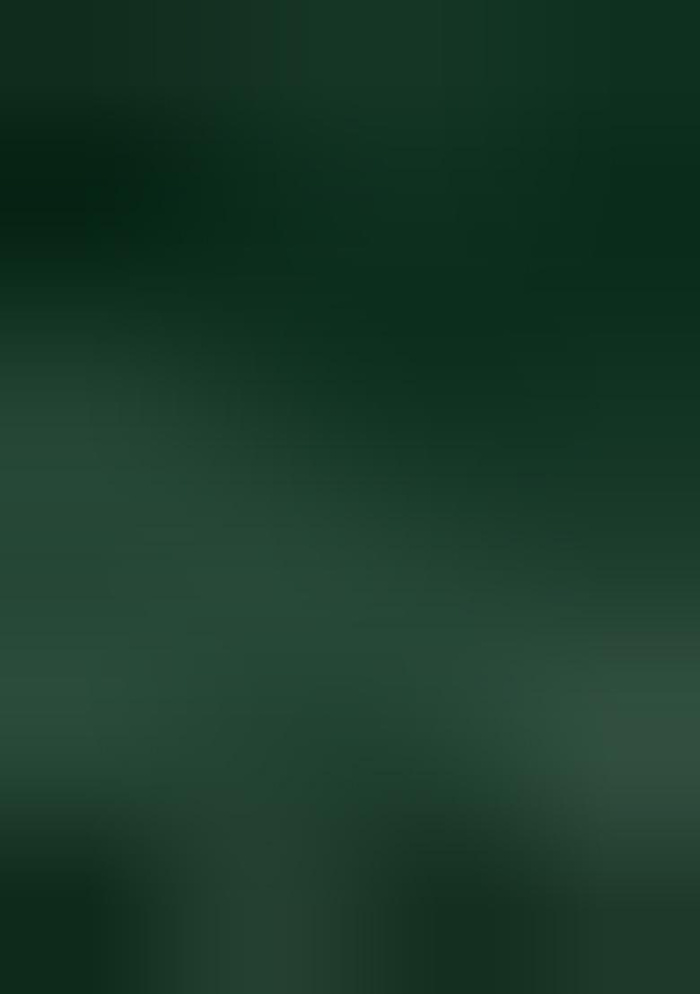 Green Printed Rayon Kurta Set