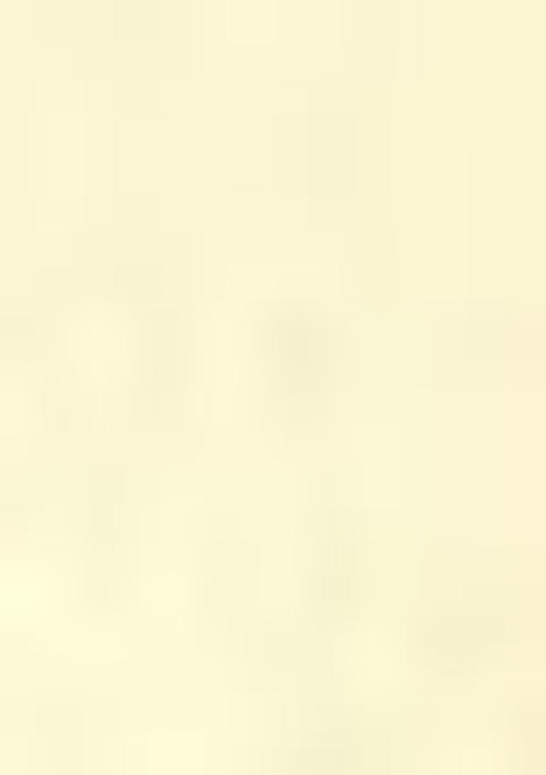 White Embroidered Cotton Kurta Set