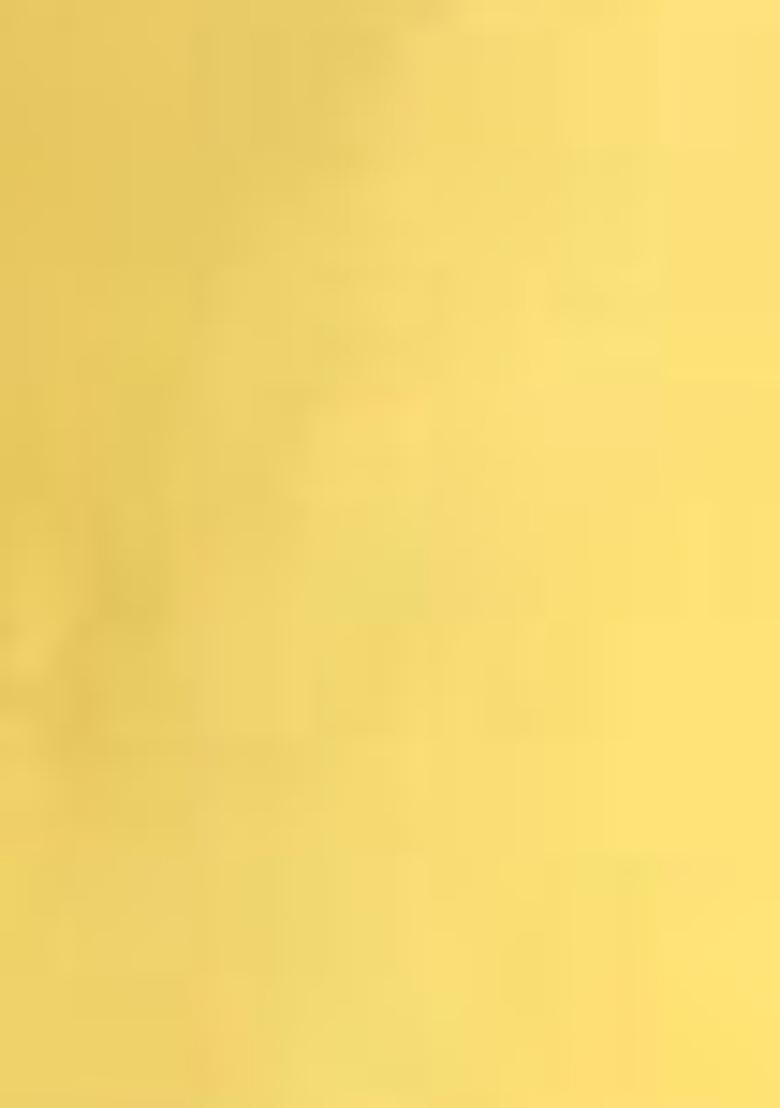 Yellow Embroidered Jacquard Kurta Set