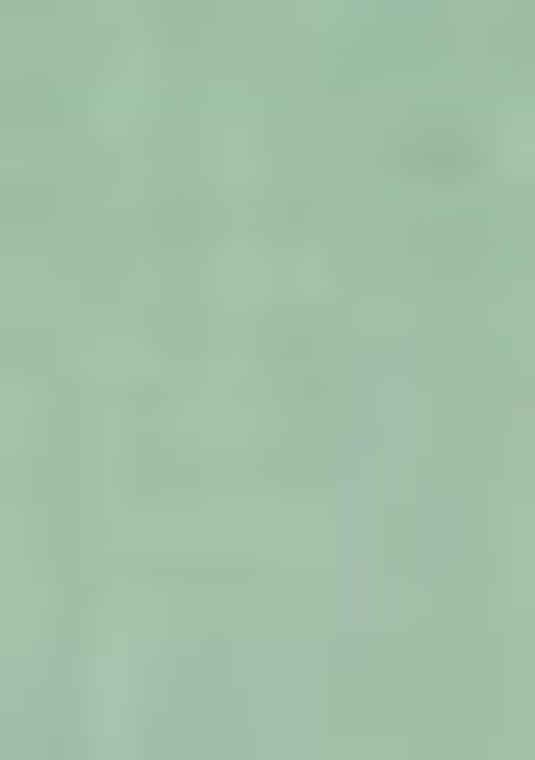 Pista Green Printed Rayon Kurta Set