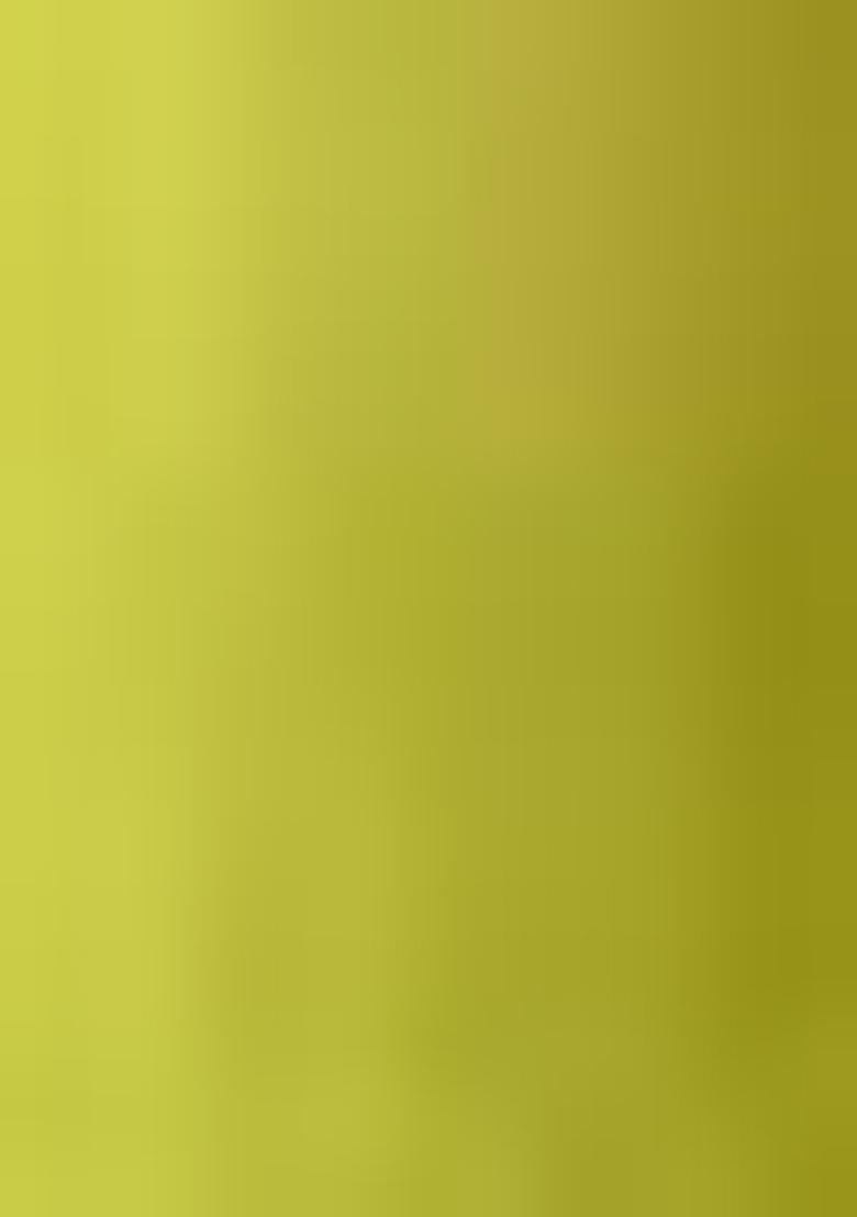 Parrot Green Embroidered Chanderi Kurta Set