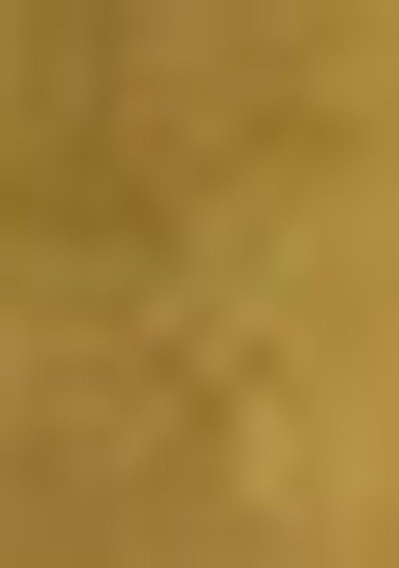 Mustard Embroidered Chanderi Kurta Set