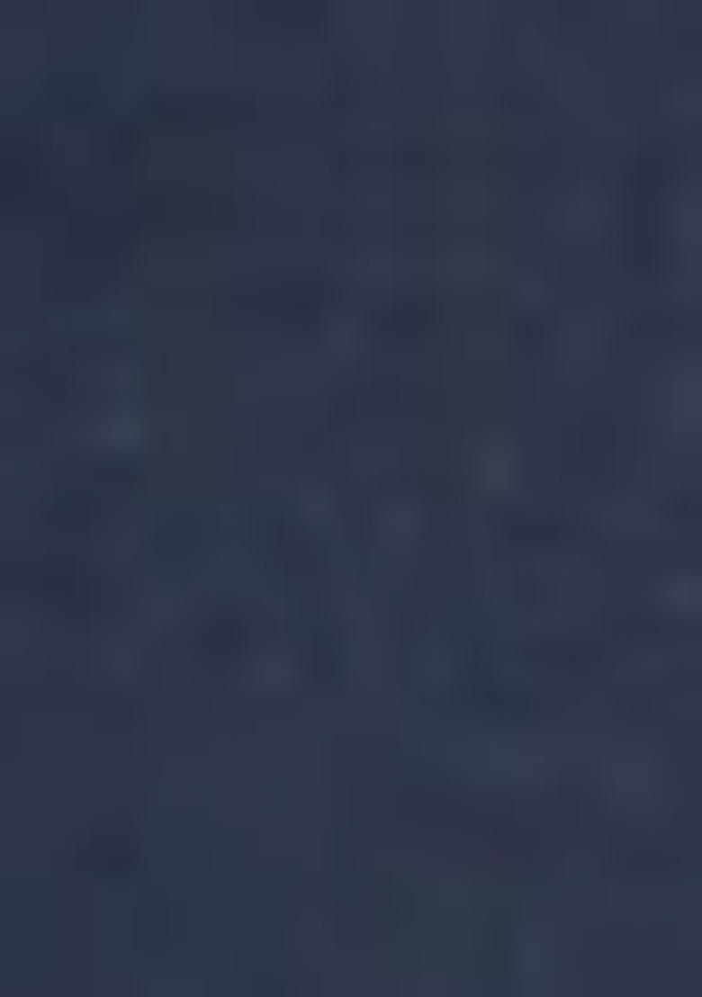 Navy Blue Printed Rayon Kurta Set