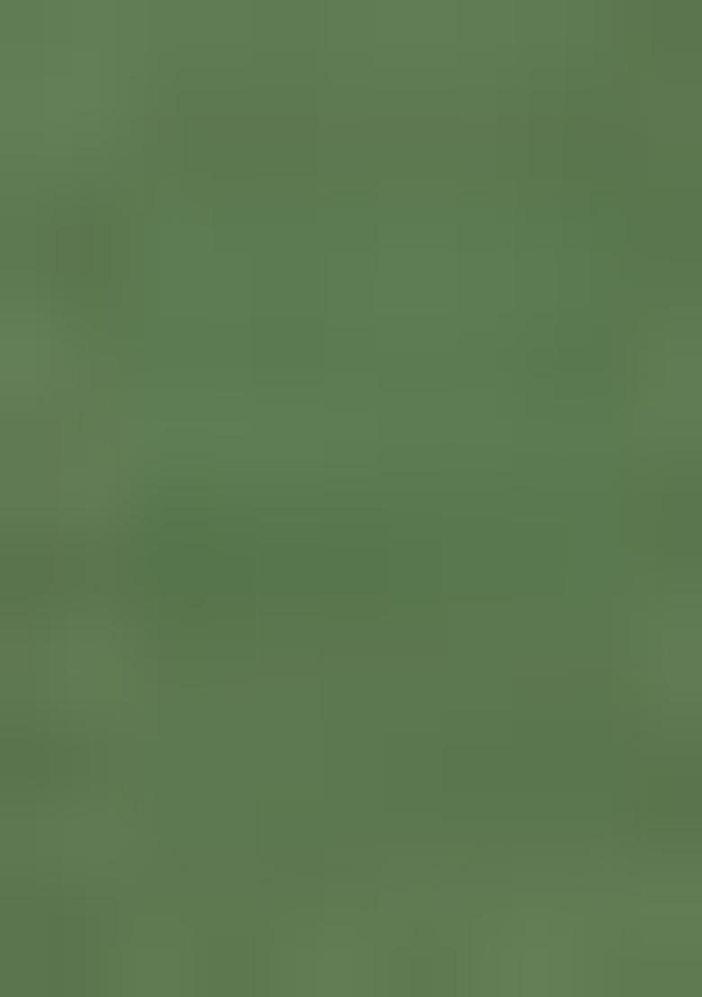 Green Embroidered Silk Kurta Set