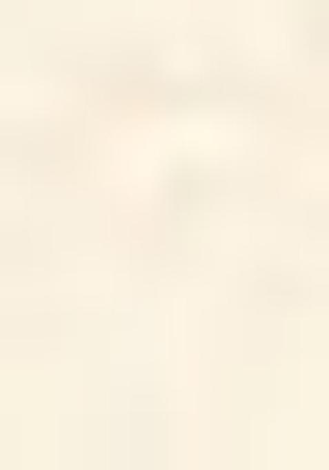 Multicolor Printed Rayon Co-Ord Set