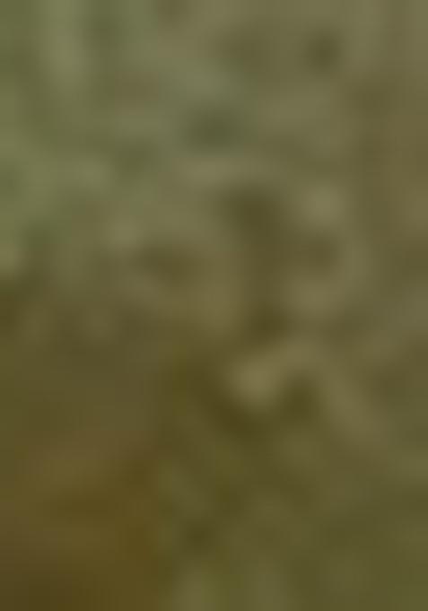 Multicolor Printed Chanderi Co-Ord Set