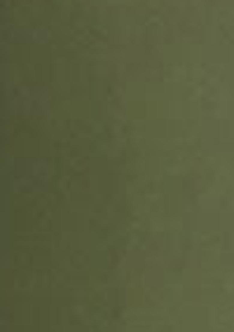 Green Embroidered Muslin Kurta Set