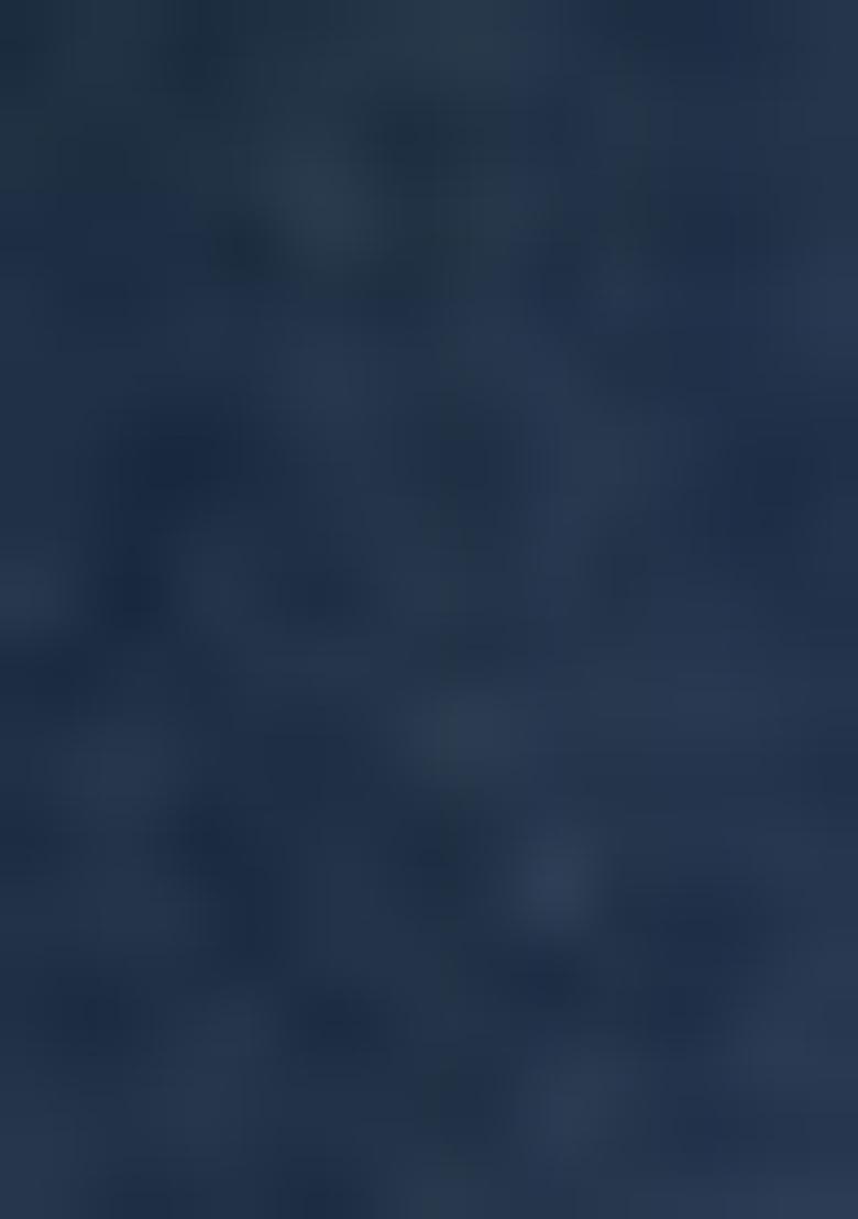 Blue Digital Print Rayon Fusion Set