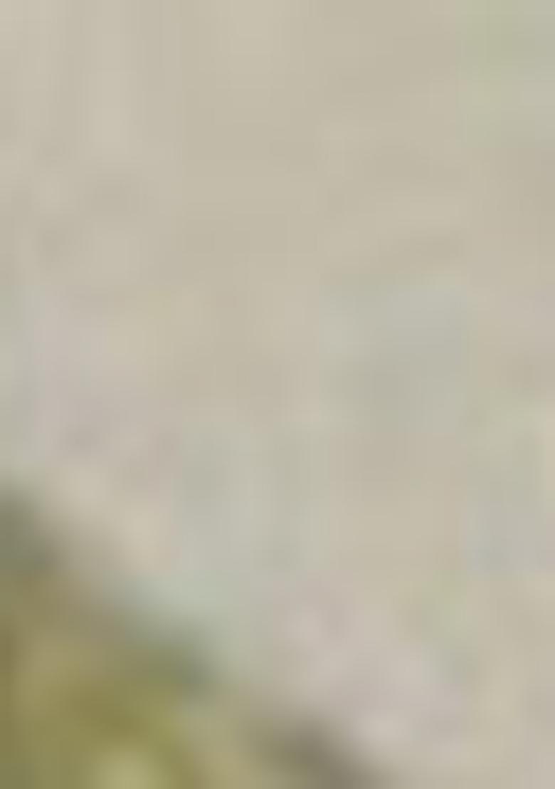 Green Digital Print Rayon Fusion Set