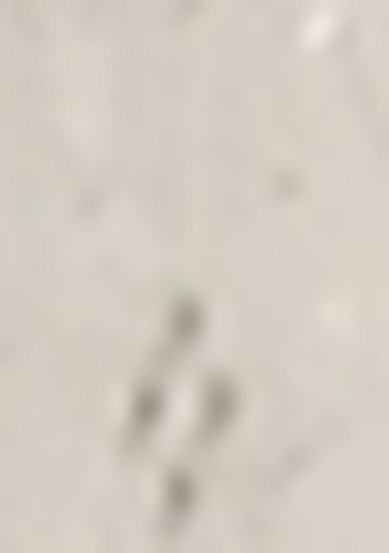 White Sequin Embroidered Georgette Salwar Kameez