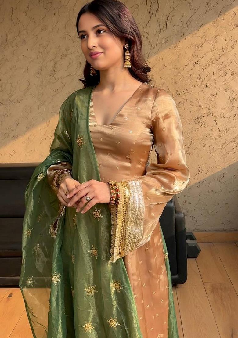 Chiku Brown Sequin Embroidered Silk Salwar Kameez