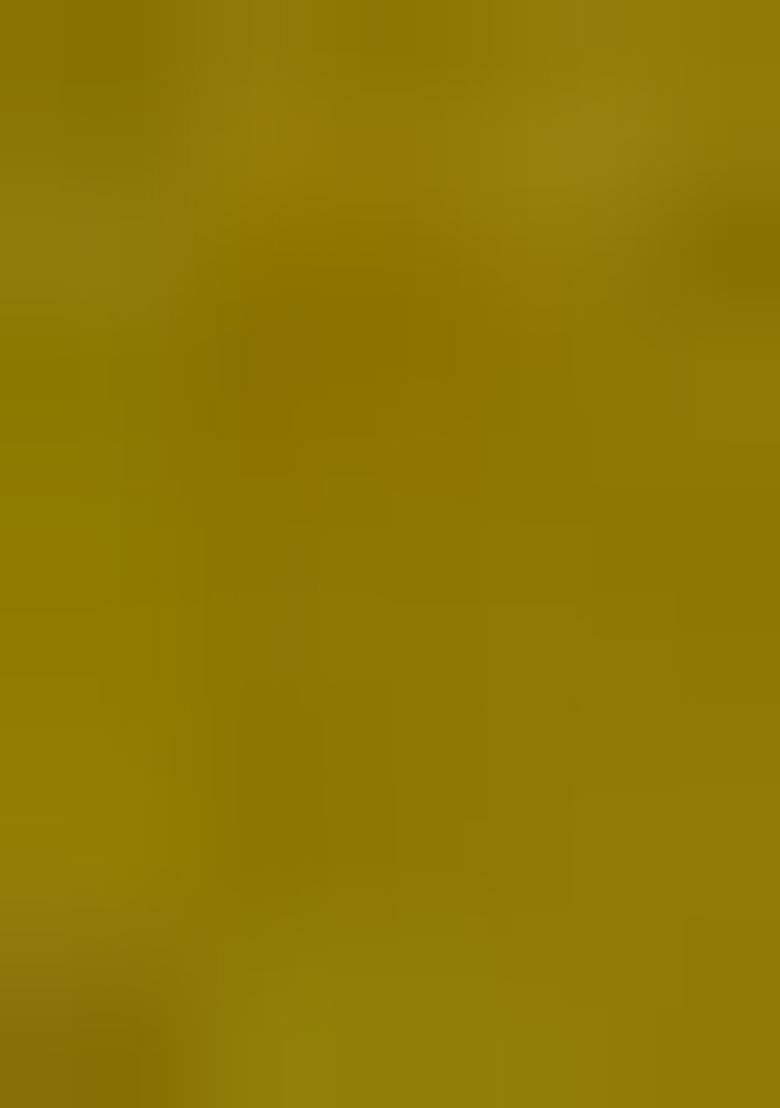 Green Embroidered Silk Salwar Kameez