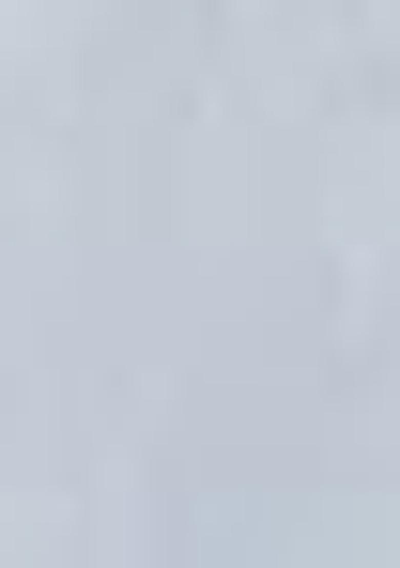 Light Grey Embroidered Chinnon Salwar Kameez