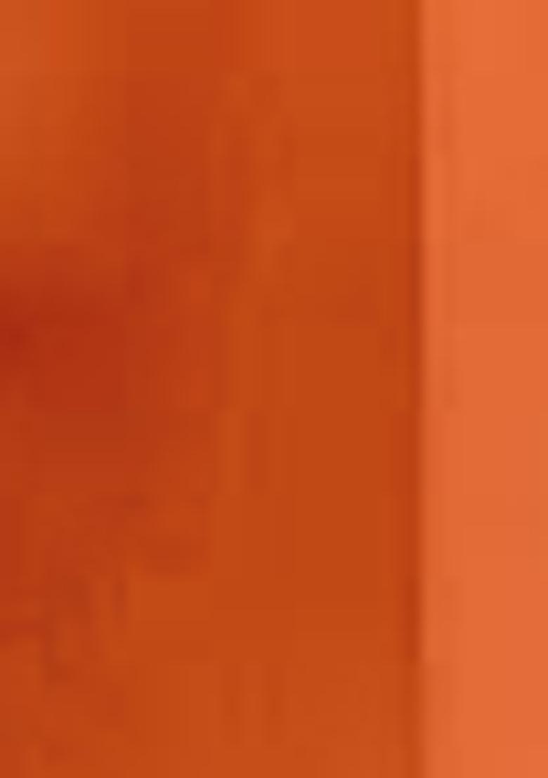 Rust Brown Embroidered Chinnon Salwar Kameez