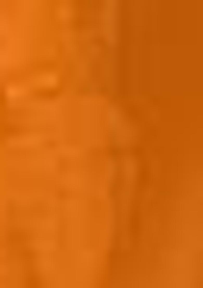 Orange Embroidered Viscose  Salwar Kameez