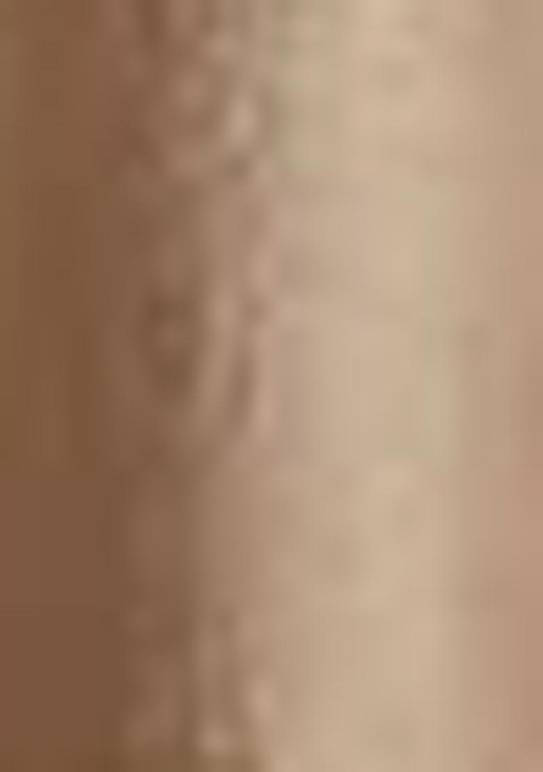 Light Brown Embroidered Silk Salwar Kameez