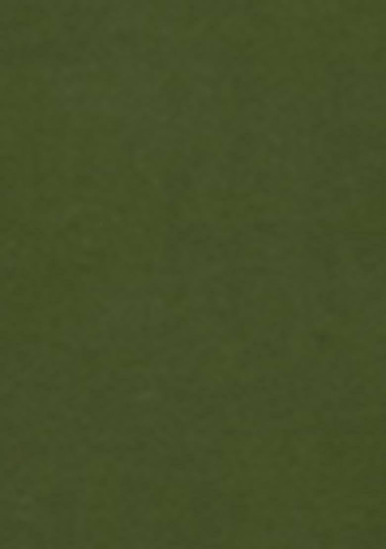 Mehendi Green Embroidered Silk Salwar Kameez