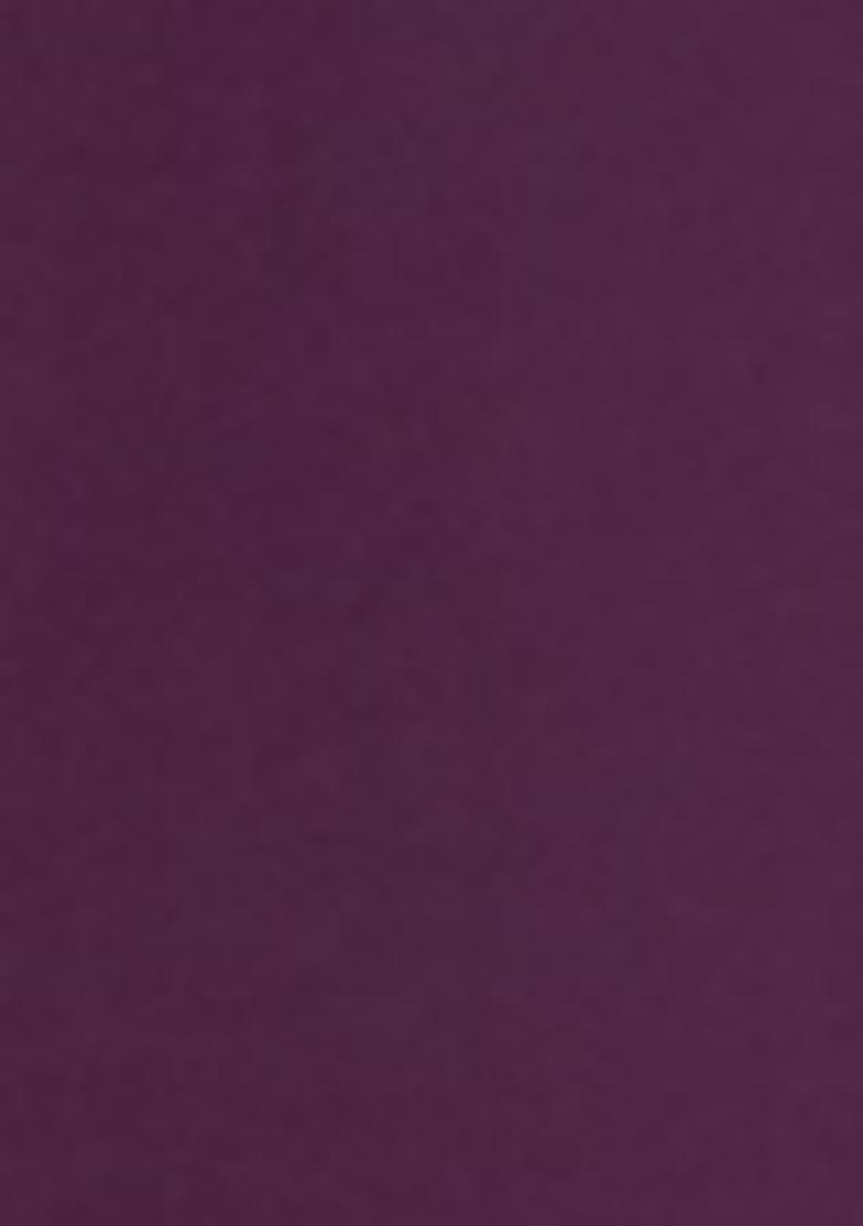 Wine Embroidered Silk Salwar Kameez