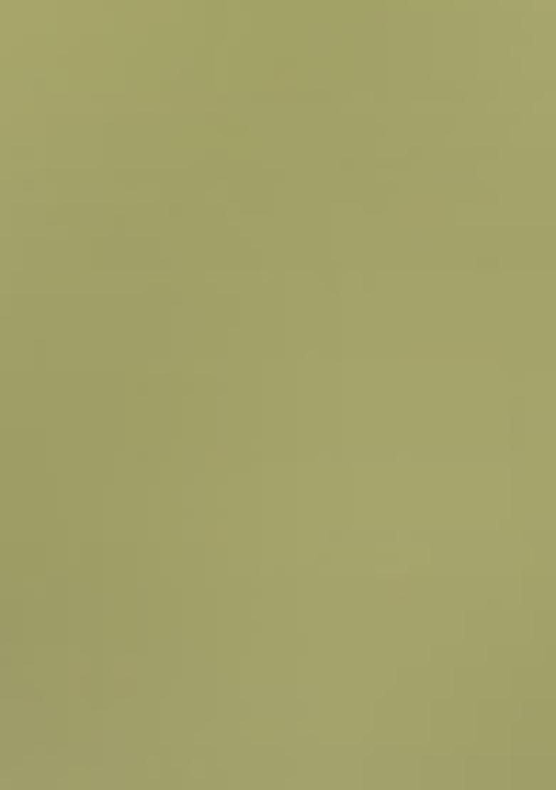 Light Green Printed Rayon Salwar Kameez