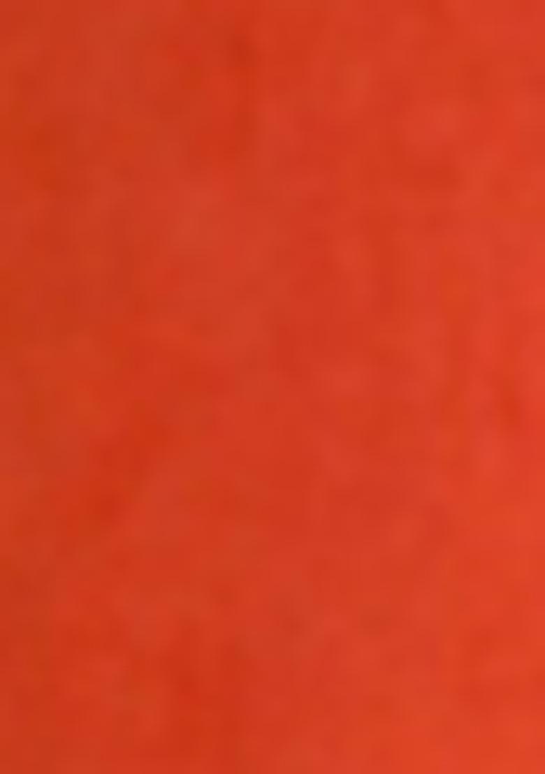 Orange Embroidered Viscose  Salwar Kameez