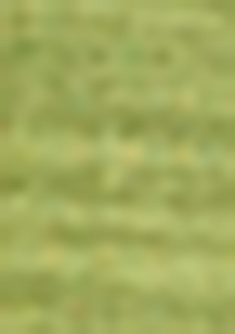 Light Green Solid Cotton Salwar Kameez