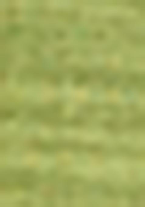 Light Green Solid Cotton Salwar Kameez