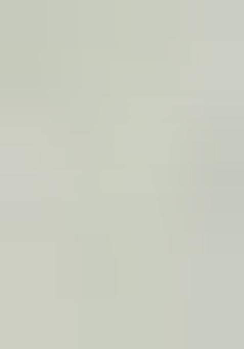 Green Crochet Chanderi Kurta