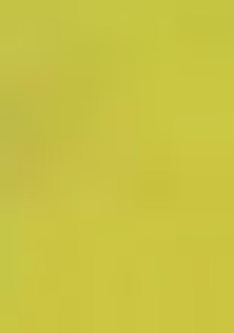 Lime Green Printed Rayon Salwar Kameez