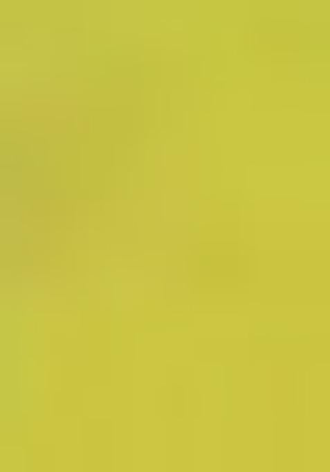 Lime Green Printed Rayon Salwar Kameez