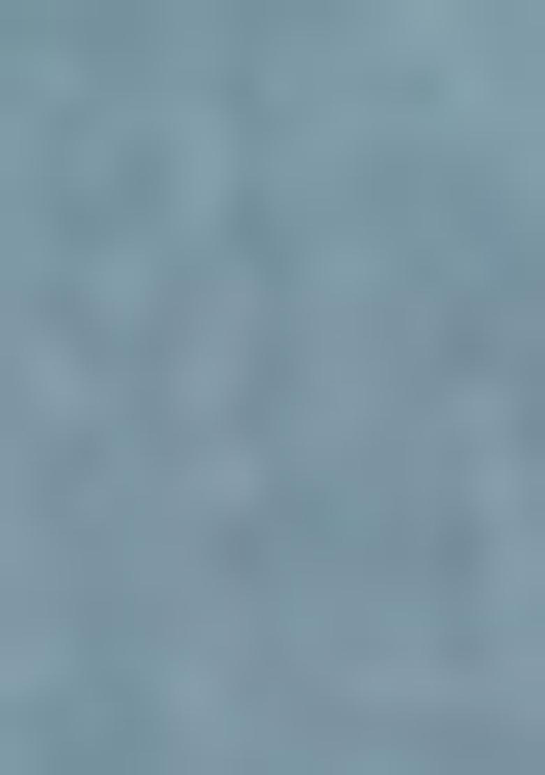 Blue Printed Rayon Salwar Kameez