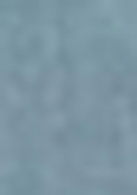 Blue Printed Rayon Salwar Kameez