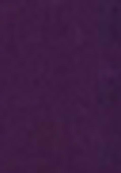 Purple Embroidered Velvet Salwar Kameez