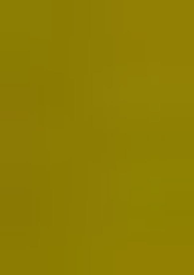 Lemon Yellow Zari Embroidered Georgette Salwar Kameez