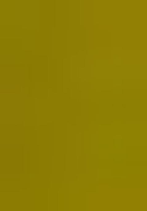 Lemon Yellow Zari Embroidered Georgette Salwar Kameez