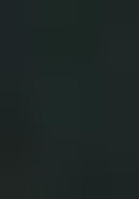 Green Printed Georgette Salwar Kameez