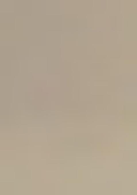 Off White Printed Georgette Anarkali Set