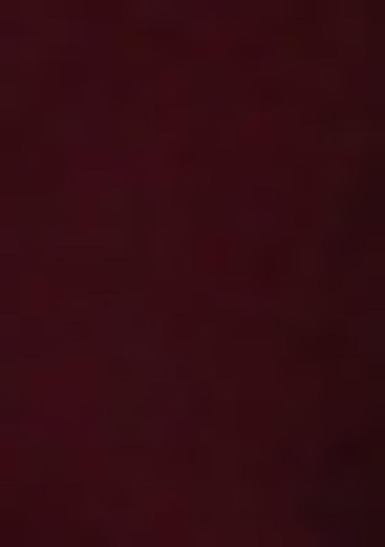 Maroon Zari Embroidered Georgette Salwar Kameez